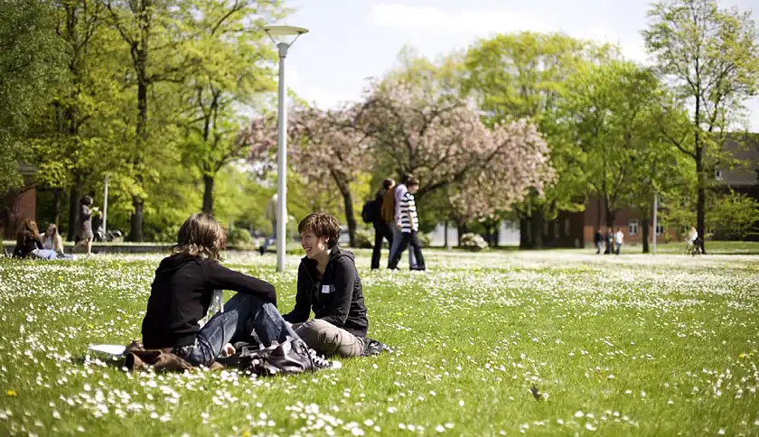 Studentinnen auf der Wiese auf dem Campus der Constructor University Bremen gGmbH