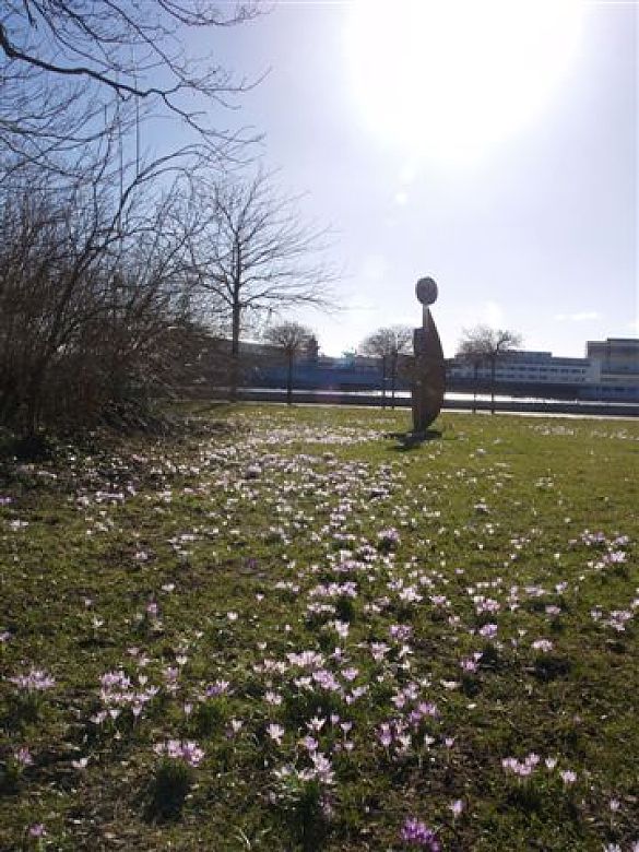 Frühlingserwachen