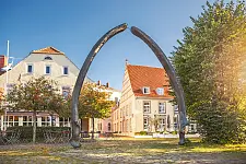 Foto vom Walkiefer am Utkiek