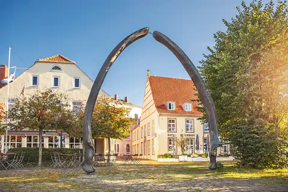 Foto vom Walkiefer am Utkiek